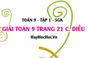 Giải Toán 9 trang 21 tập 1 Cánh Diều